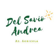 Del Savio Andrea